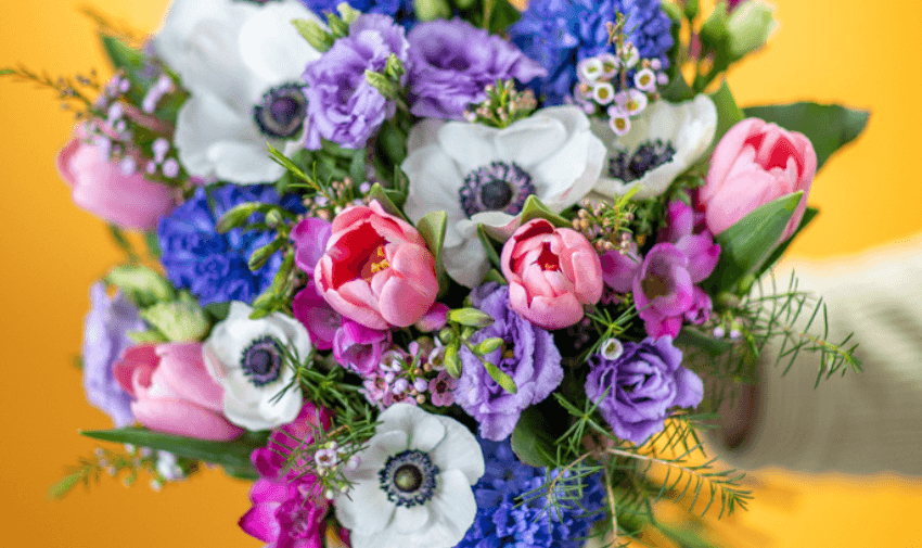 A colourful bouquet featuring tulips, anemones, and other seasonal flowers against a bright yellow backdrop. Perfect for gifting or personal enjoyment, available with Purpl’s special discounts. flower delivery discounts, shopping discounts for disabled people.