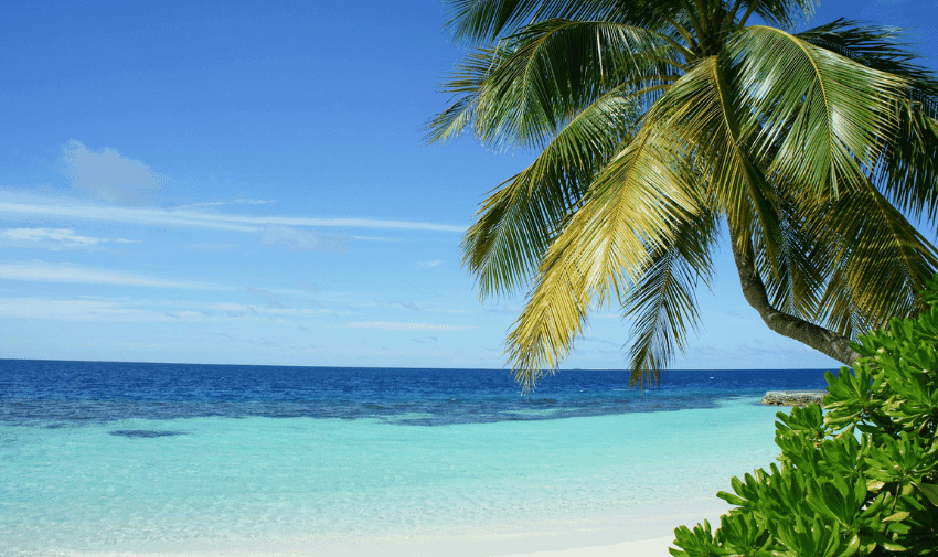 A serene tropical beach scene featuring crystal-clear turquoise waters, white sandy shore, and a leaning palm tree with lush green fronds. The sky is a vibrant blue with scattered white clouds. Dense green foliage is visible in the foreground.