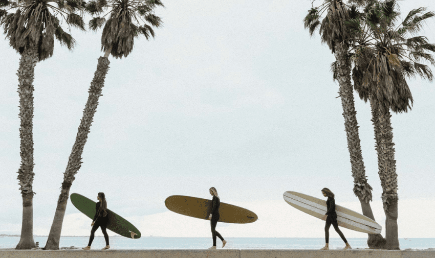 3 women are walking in a row against a background of the sea. They are each carrying a surfboard and there are palm trees around them.