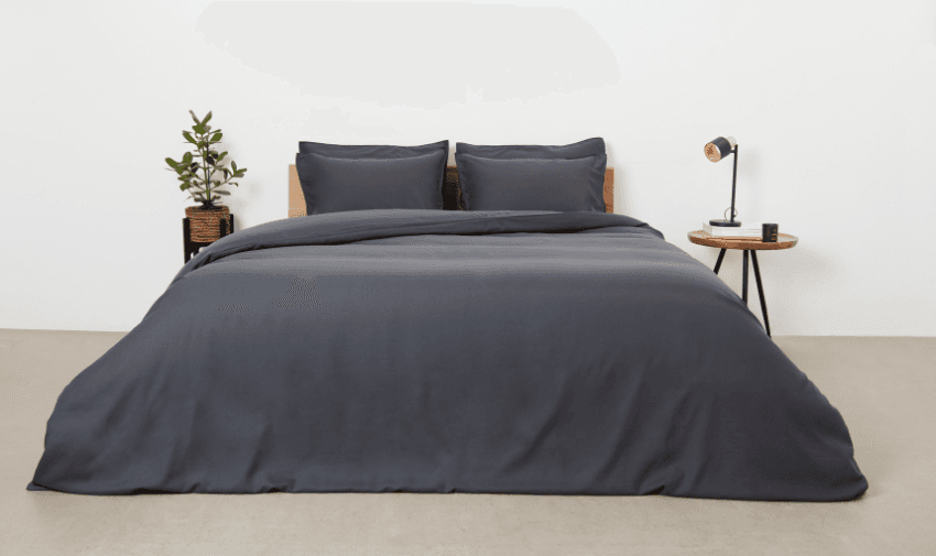 A neatly made bed with dark grey bedding, flanked by a potted plant on one side and a side table with a lamp on the other.