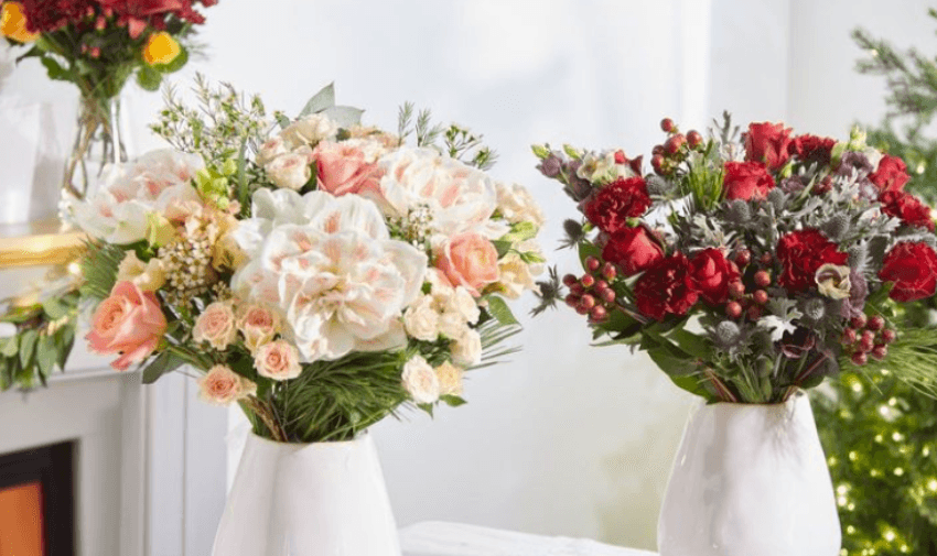 A display of festive floral arrangements in white and red, ideal for Christmas decorations or gifts