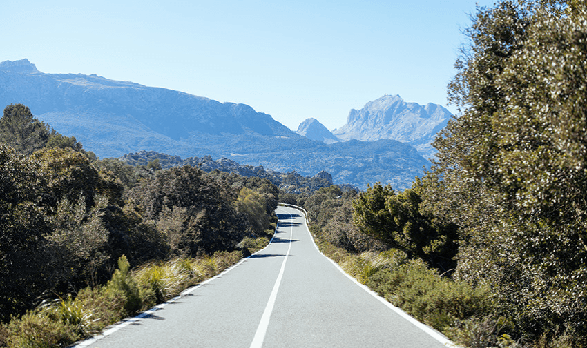 A long scenic road surrounded by lush trees and distant mountains, representing the freedom and adventure of driving with peace of mind through car hire excess insurance. Disabled travel discounts.