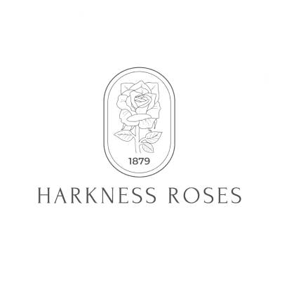 Harkness Roses