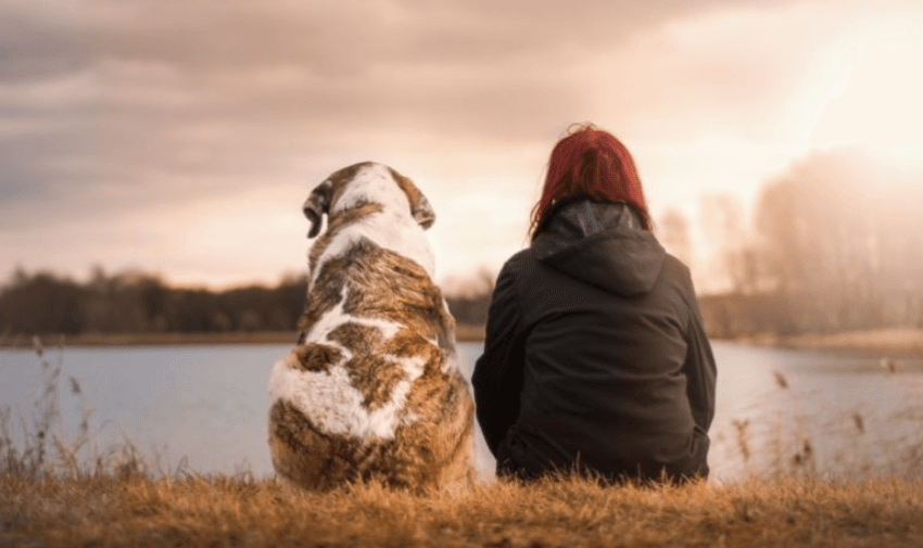 A person with red hair sits next to a large dog by a lake, both facing the water. The sky is overcast with a bit of sunlight peeking through, creating a serene and peaceful atmosphere.