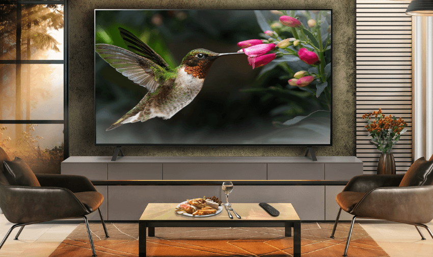 A modern living room with a large flat-screen TV displaying a vivid image of a hummingbird feeding from pink flowers, surrounded by stylish furniture. Highlighting Purpl's exclusive disabled discounts for high-quality electronics and TVs from Currys in the UK.