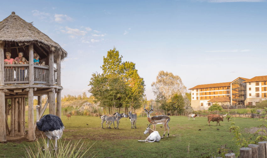 A scenic view of a wildlife enclosure with zebras, antelopes, and an ostrich, featuring a thatched observation hut with visitors and a hotel in the background.