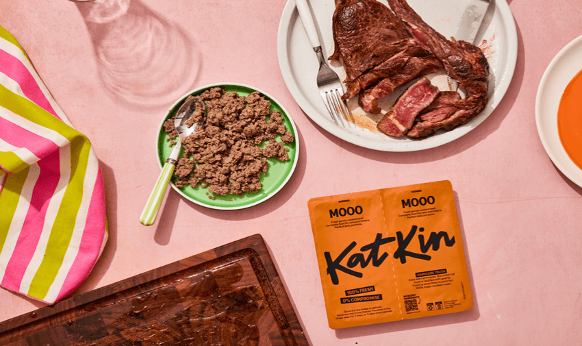 a packet of Katkin food and cat food on a plate