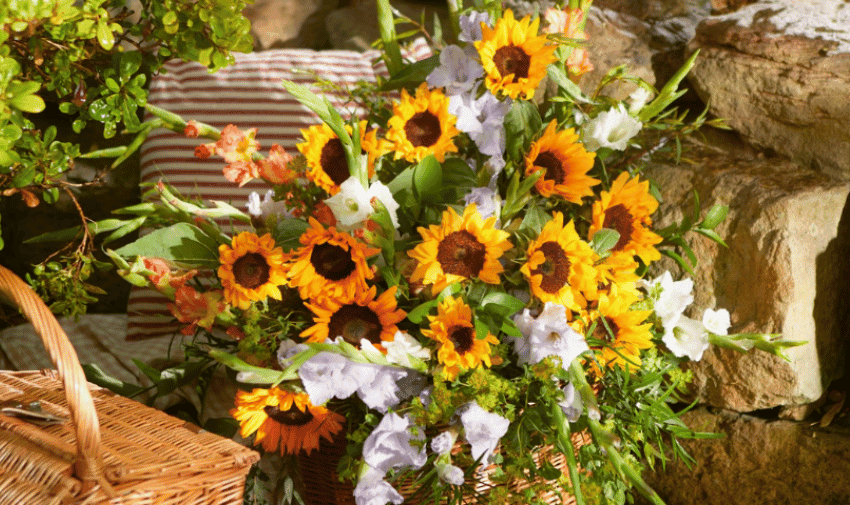 A vibrant bouquet of sunflowers and purple flowers arranged with green foliage, set against a backdrop of stones and a red and white striped cushion. A wicker basket is partially visible in the foreground, adding to the rustic, outdoor setting.