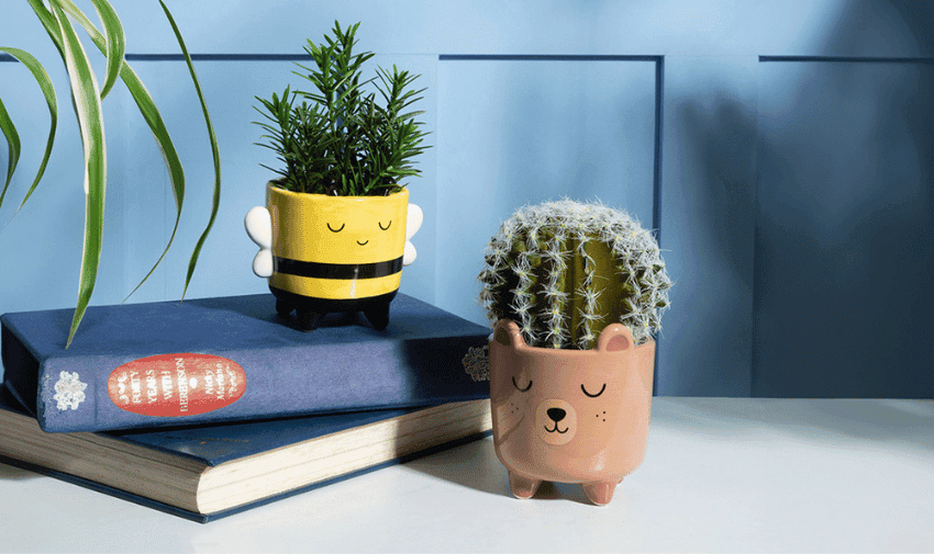Two small potted plants sit on a table in front of a blue wall. The pot on the left, shaped like a bee, holds a green leafy plant. The pot on the right, shaped like a bear, contains a round cactus. They are placed on two closed books with decorative covers.