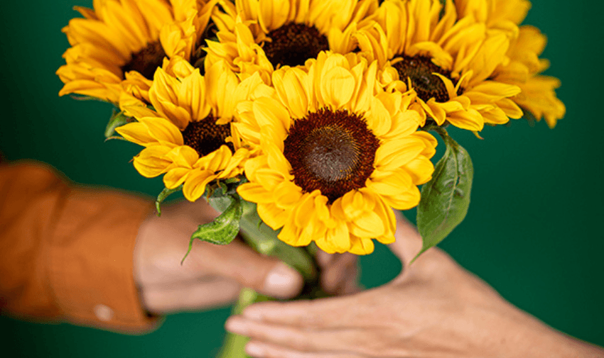 Close-up of a vibrant bouquet of sunflowers being handed over, symbolising happiness and connection. Purpl users can access exclusive flower delivery offers, brightening moments for themselves or loved ones. Flower delivery discounts, shopping discounts for disabled people.