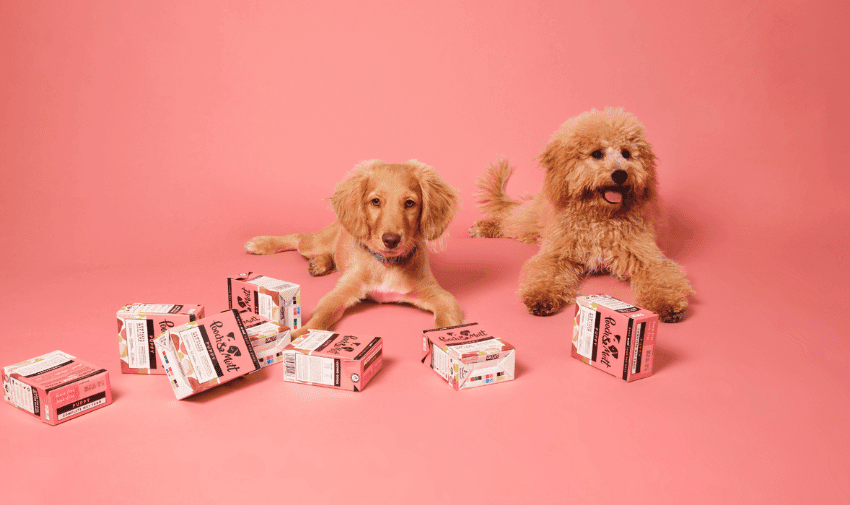 Two fluffy dogs lie on a pink background surrounded by scattered pink and white product boxes. The dog on the left has light brown fur, while the one on the right has curly, golden fur and is panting with its tongue out. The scene is playful and vibrant.