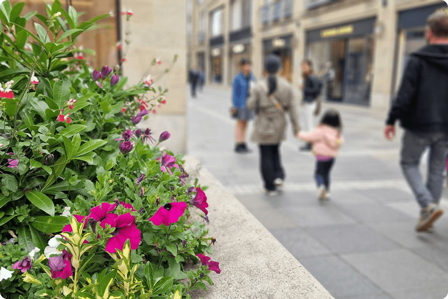 Image of Multrees Walk in Edinburgh with flowering planter in the foreground and families carrying shopping walking outside shop fronts.