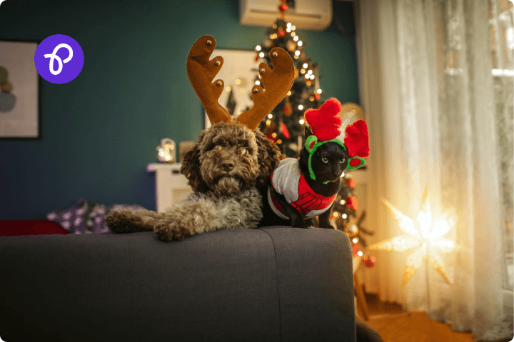 A christmas scene in a living room with a dog and a cat wearing christmas hats