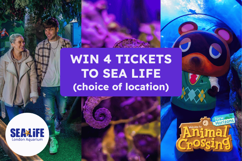 SEA LIFE aquarium tunnel with visitors exploring marine life, representing the SEA LIFE UK competition to win 4 tickets and an accessible UK day out for disabled people and those with long-term health conditions.